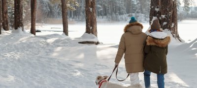 Koppel op stap met de hond in het bos